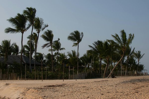 Découvrez les love rooms pour une escapade romantique inoubliable